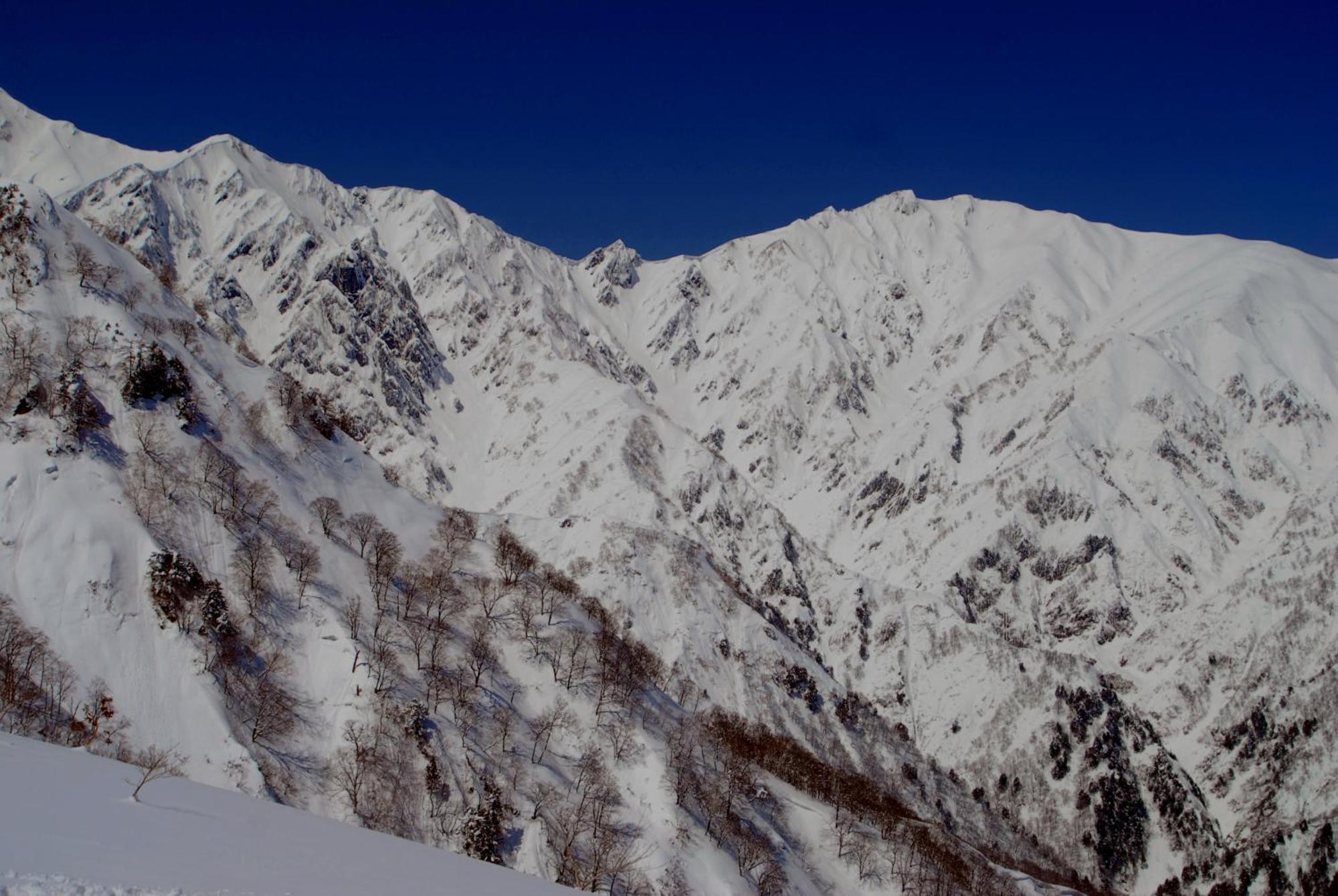 Bears Den Mountain Lodge Hakuba Eksteriør billede