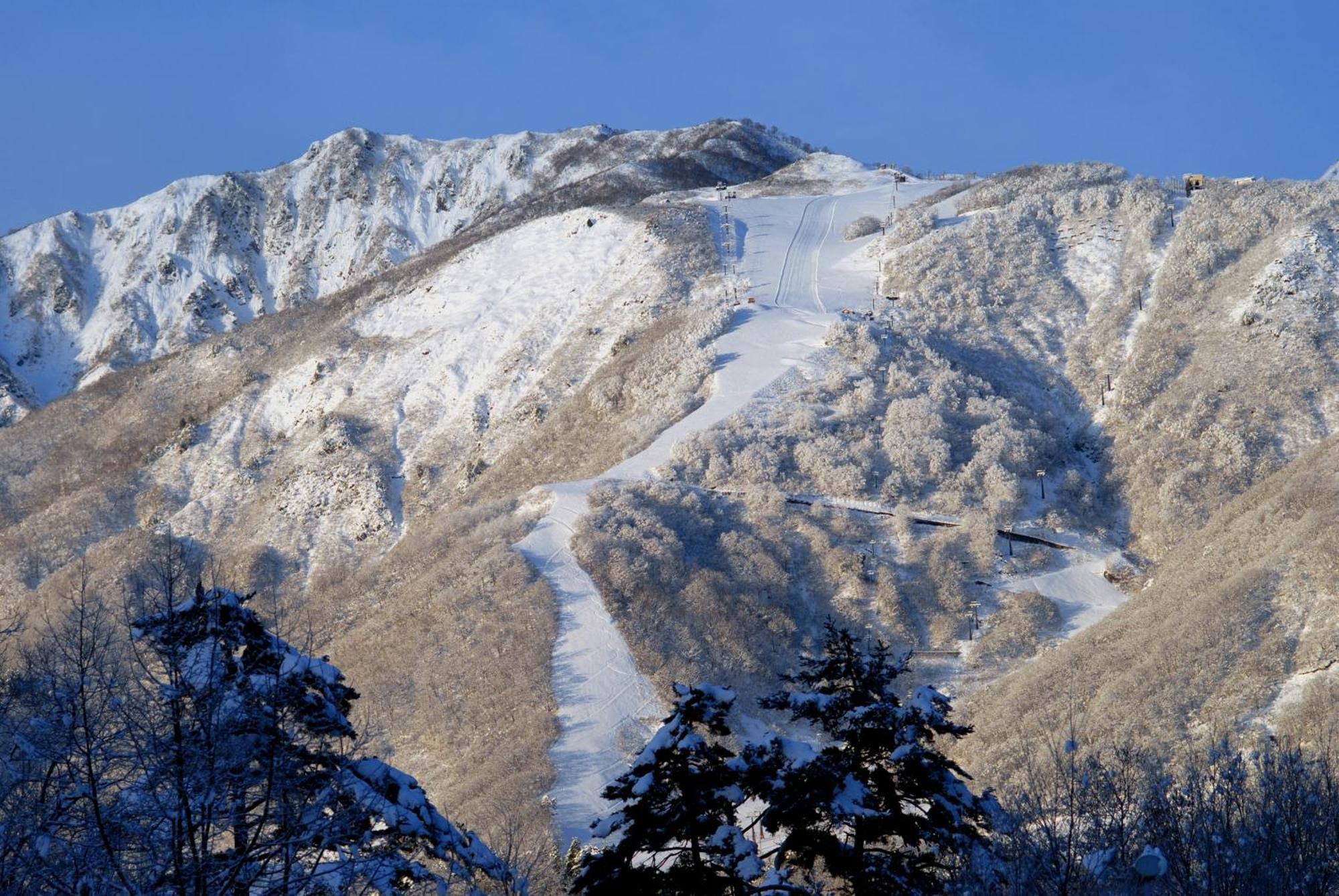 Bears Den Mountain Lodge Hakuba Eksteriør billede