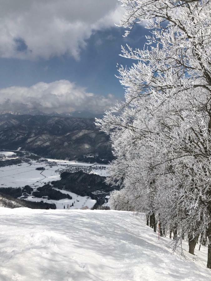 Bears Den Mountain Lodge Hakuba Eksteriør billede